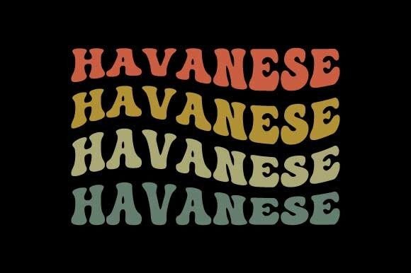 Retro Havanese SVG Review